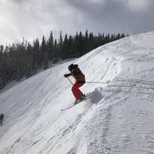 Meet your Posher, Jonah